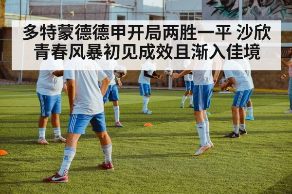 多特蒙德德甲开局两胜一平 沙欣青春风暴初见成效且渐入佳境